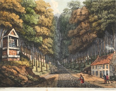 Ingresso alla Foresta di Soigne, dove si incontrano le due strade da Bruxelles da James Rouse